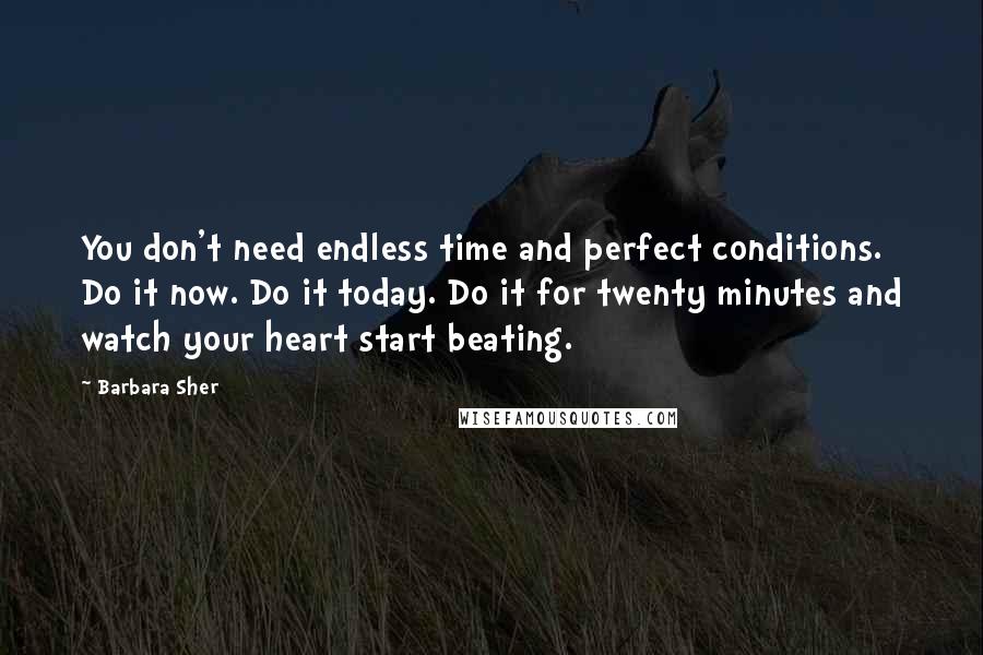 Barbara Sher Quotes: You don't need endless time and perfect conditions. Do it now. Do it today. Do it for twenty minutes and watch your heart start beating.