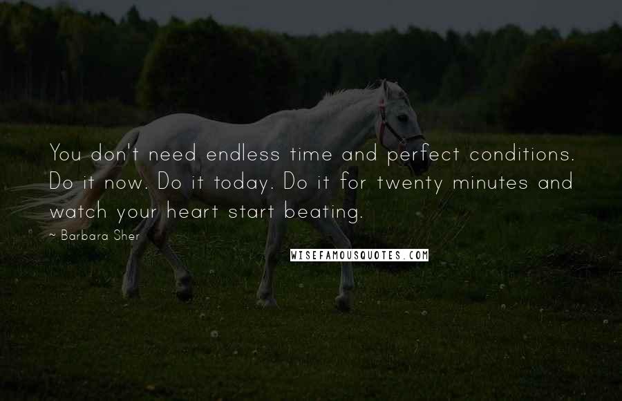 Barbara Sher Quotes: You don't need endless time and perfect conditions. Do it now. Do it today. Do it for twenty minutes and watch your heart start beating.