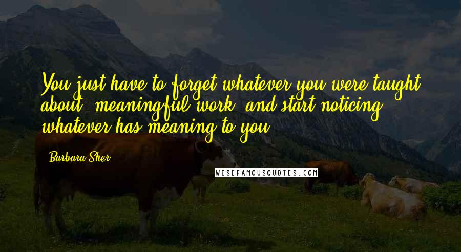 Barbara Sher Quotes: You just have to forget whatever you were taught about "meaningful work" and start noticing whatever has meaning to you.