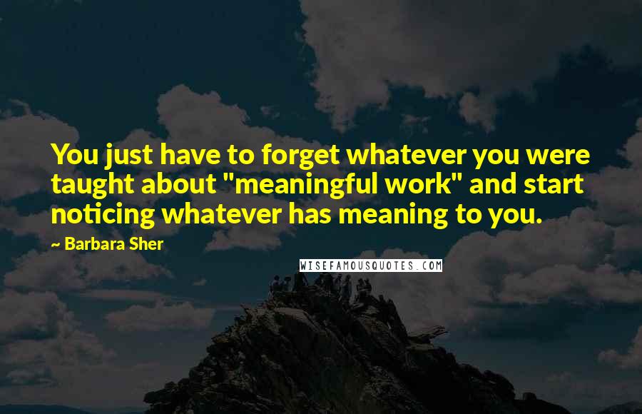 Barbara Sher Quotes: You just have to forget whatever you were taught about "meaningful work" and start noticing whatever has meaning to you.