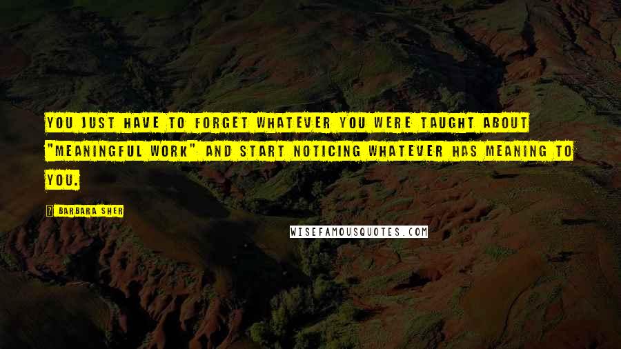 Barbara Sher Quotes: You just have to forget whatever you were taught about "meaningful work" and start noticing whatever has meaning to you.