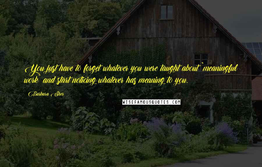 Barbara Sher Quotes: You just have to forget whatever you were taught about "meaningful work" and start noticing whatever has meaning to you.