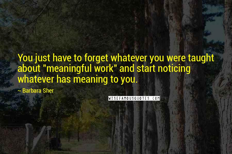 Barbara Sher Quotes: You just have to forget whatever you were taught about "meaningful work" and start noticing whatever has meaning to you.