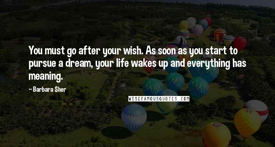 Barbara Sher Quotes: You must go after your wish. As soon as you start to pursue a dream, your life wakes up and everything has meaning.