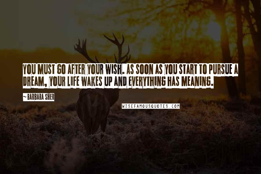 Barbara Sher Quotes: You must go after your wish. As soon as you start to pursue a dream, your life wakes up and everything has meaning.