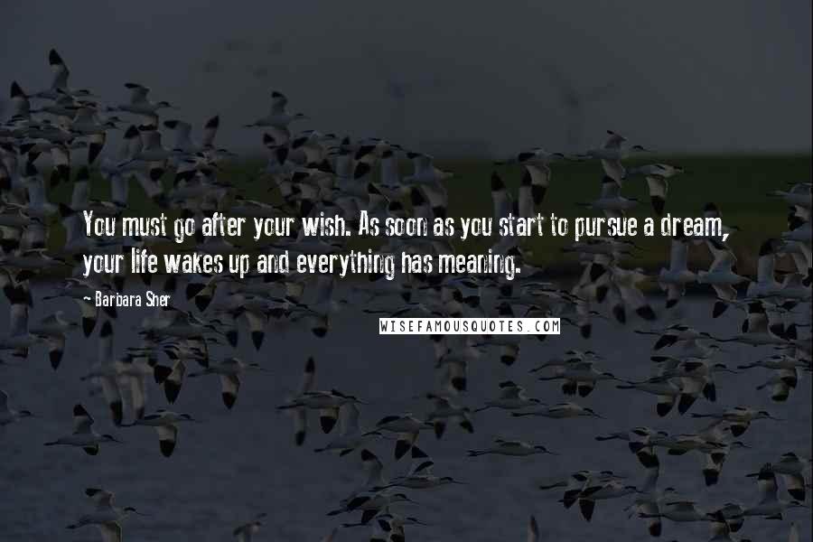 Barbara Sher Quotes: You must go after your wish. As soon as you start to pursue a dream, your life wakes up and everything has meaning.