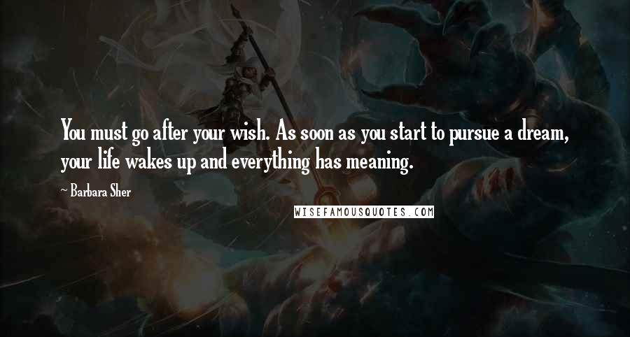 Barbara Sher Quotes: You must go after your wish. As soon as you start to pursue a dream, your life wakes up and everything has meaning.