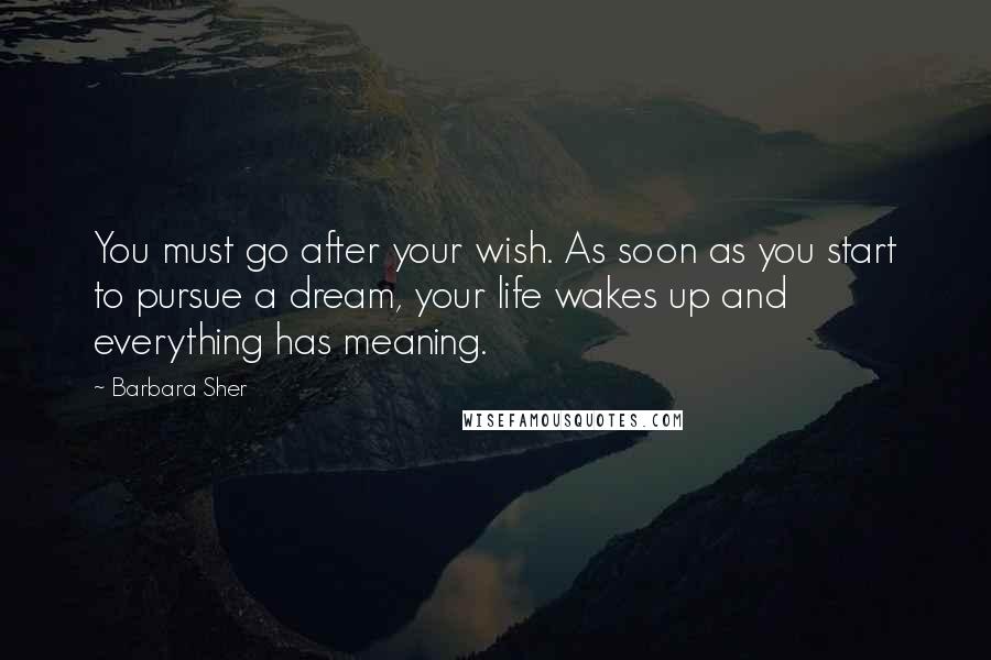 Barbara Sher Quotes: You must go after your wish. As soon as you start to pursue a dream, your life wakes up and everything has meaning.