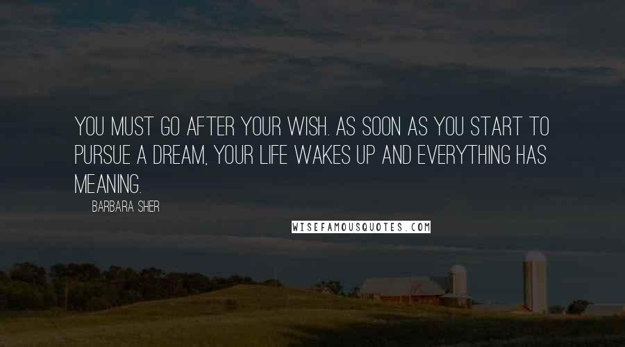 Barbara Sher Quotes: You must go after your wish. As soon as you start to pursue a dream, your life wakes up and everything has meaning.