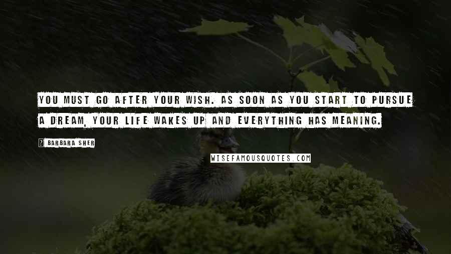 Barbara Sher Quotes: You must go after your wish. As soon as you start to pursue a dream, your life wakes up and everything has meaning.