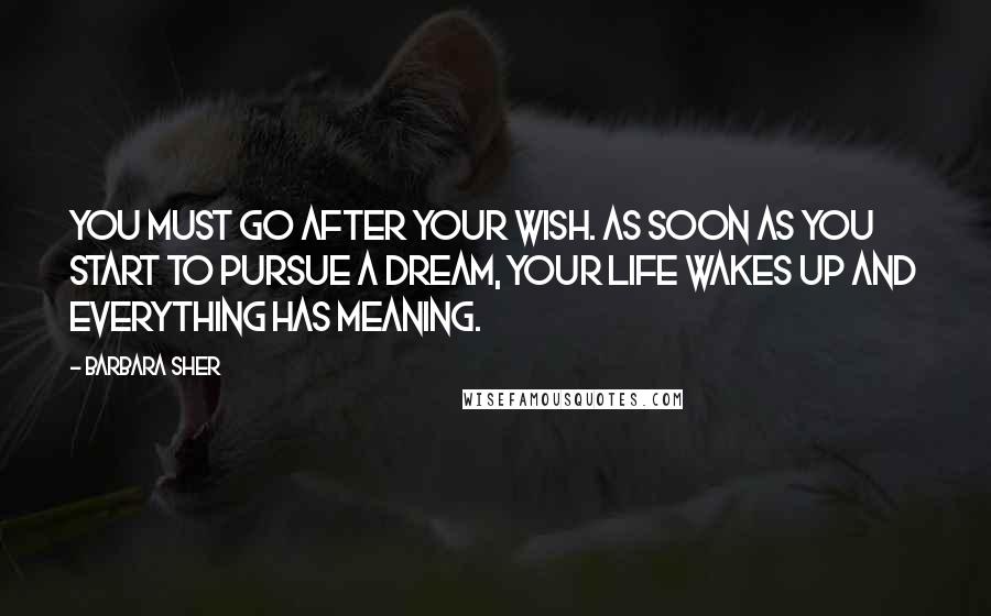 Barbara Sher Quotes: You must go after your wish. As soon as you start to pursue a dream, your life wakes up and everything has meaning.