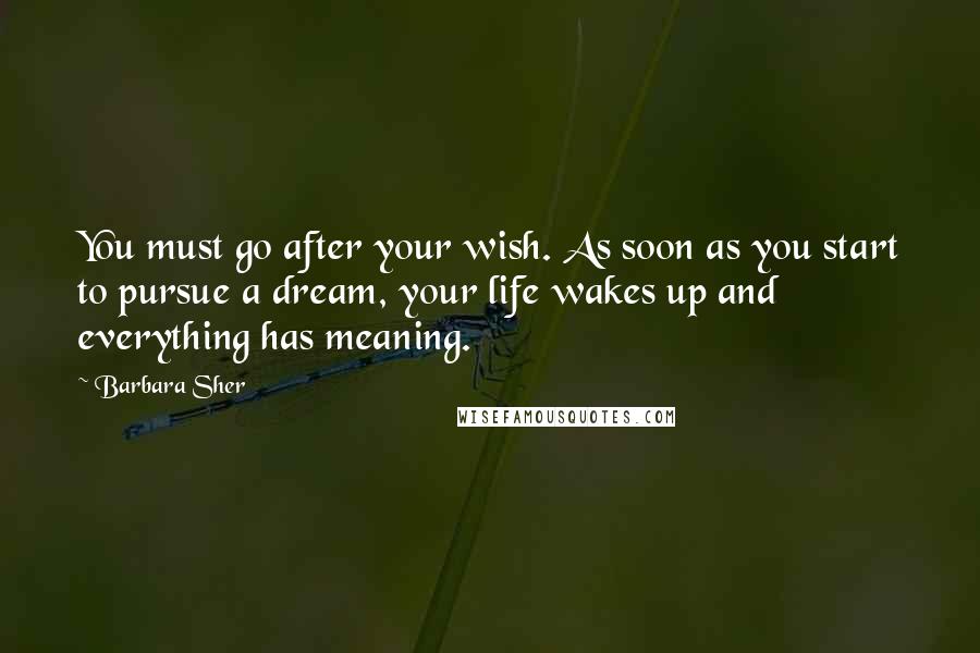 Barbara Sher Quotes: You must go after your wish. As soon as you start to pursue a dream, your life wakes up and everything has meaning.