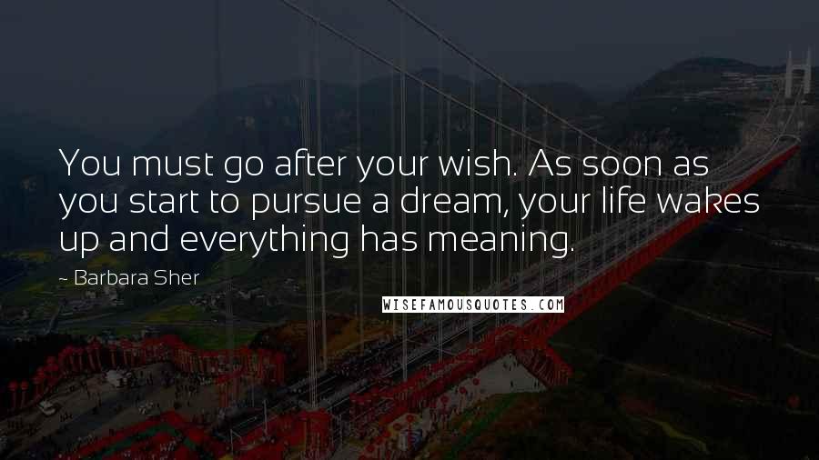 Barbara Sher Quotes: You must go after your wish. As soon as you start to pursue a dream, your life wakes up and everything has meaning.