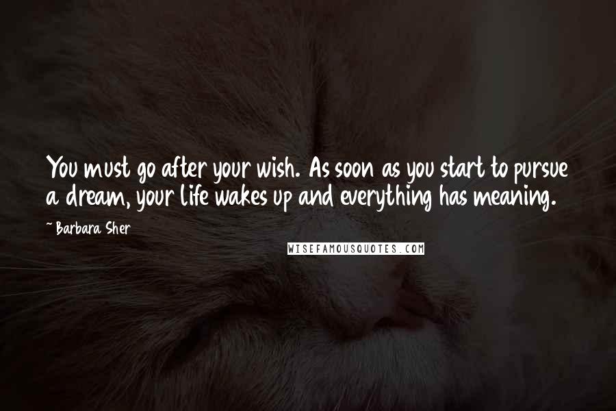 Barbara Sher Quotes: You must go after your wish. As soon as you start to pursue a dream, your life wakes up and everything has meaning.