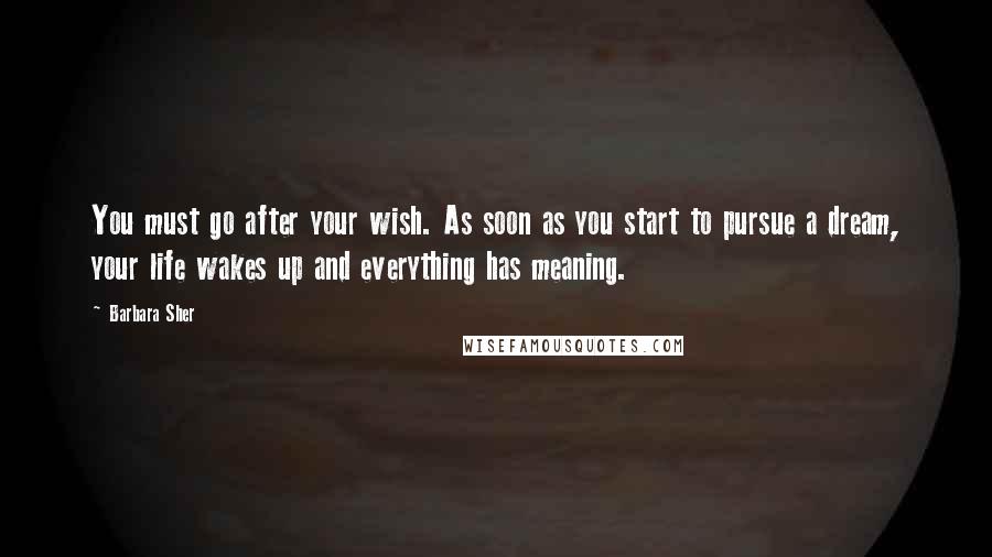 Barbara Sher Quotes: You must go after your wish. As soon as you start to pursue a dream, your life wakes up and everything has meaning.