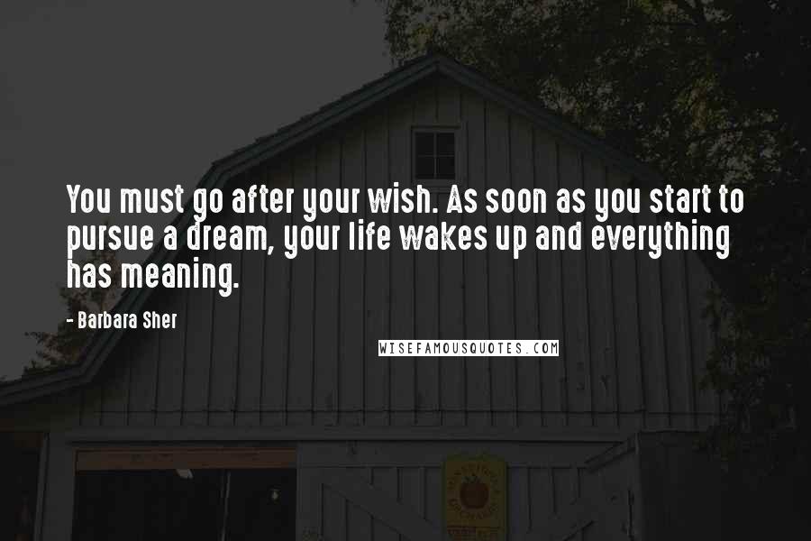 Barbara Sher Quotes: You must go after your wish. As soon as you start to pursue a dream, your life wakes up and everything has meaning.