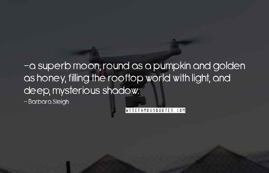 Barbara Sleigh Quotes: -a superb moon, round as a pumpkin and golden as honey, filling the rooftop world with light, and deep, mysterious shadow.