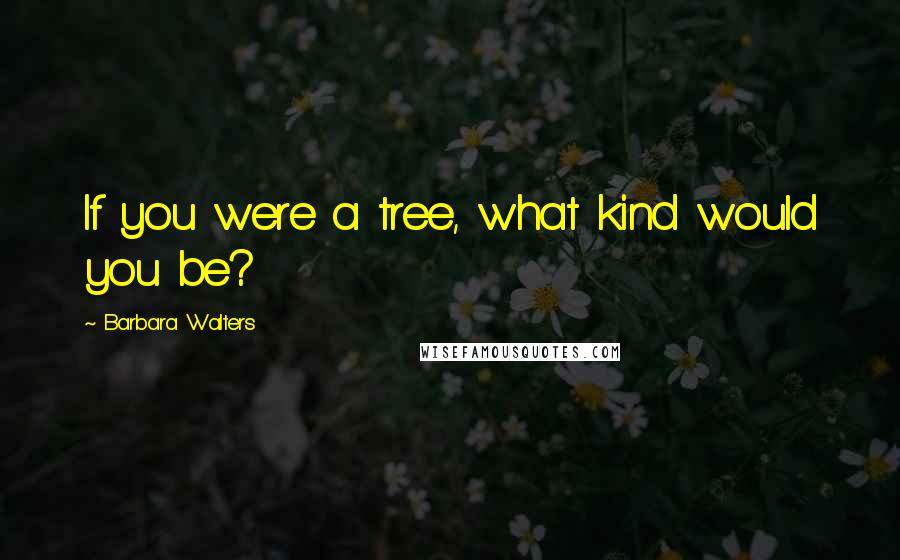 Barbara Walters Quotes: If you were a tree, what kind would you be?