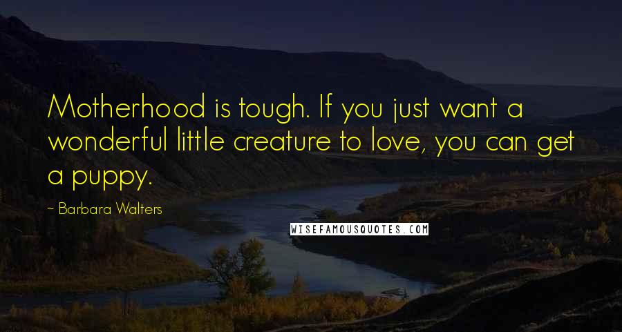 Barbara Walters Quotes: Motherhood is tough. If you just want a wonderful little creature to love, you can get a puppy.