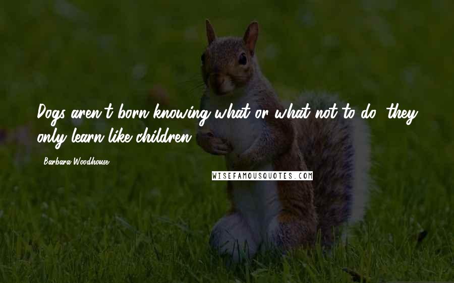 Barbara Woodhouse Quotes: Dogs aren't born knowing what or what not to do; they only learn like children.