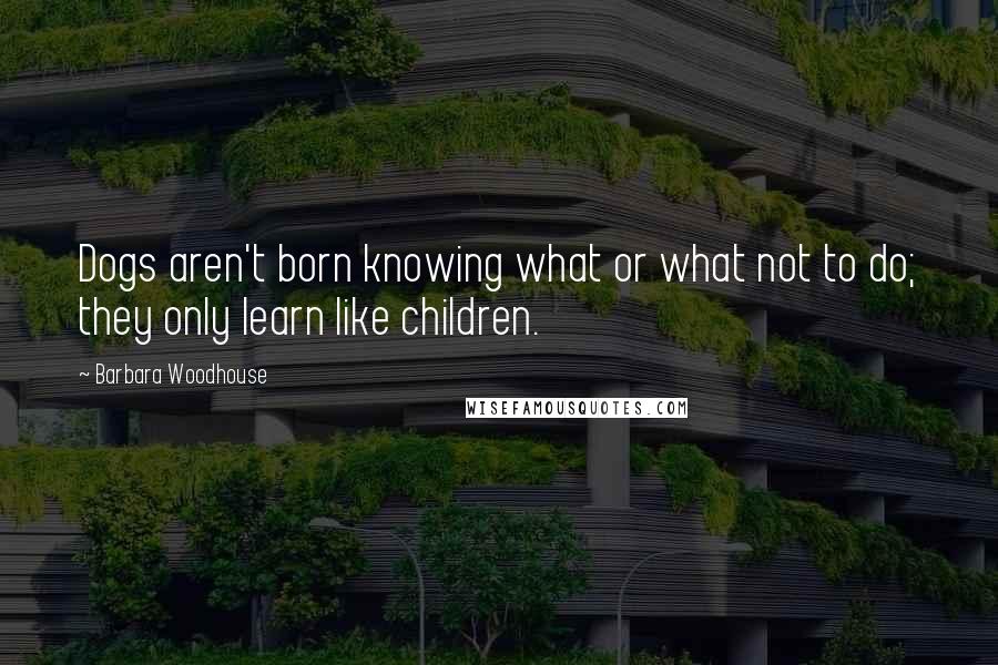 Barbara Woodhouse Quotes: Dogs aren't born knowing what or what not to do; they only learn like children.