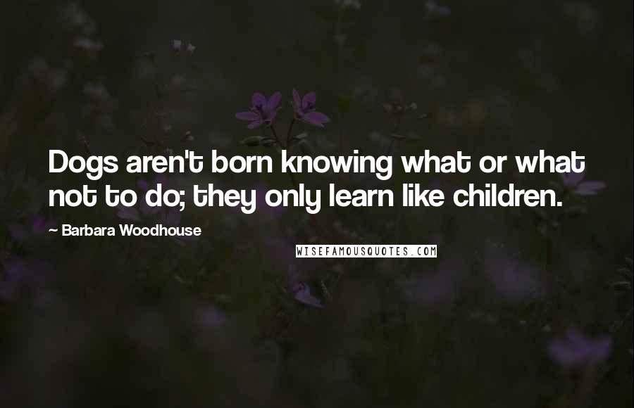 Barbara Woodhouse Quotes: Dogs aren't born knowing what or what not to do; they only learn like children.