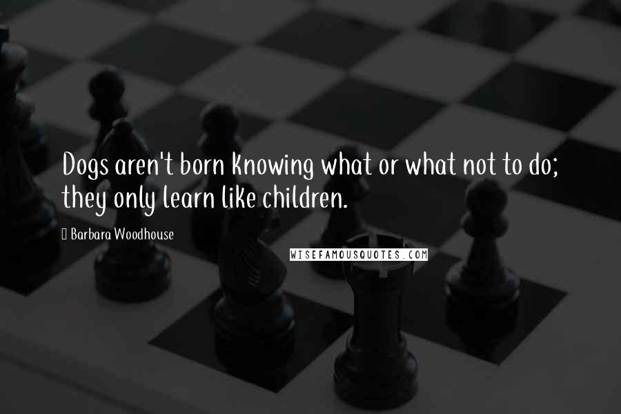 Barbara Woodhouse Quotes: Dogs aren't born knowing what or what not to do; they only learn like children.