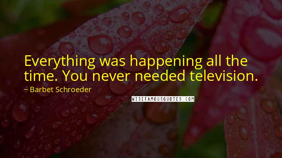 Barbet Schroeder Quotes: Everything was happening all the time. You never needed television.