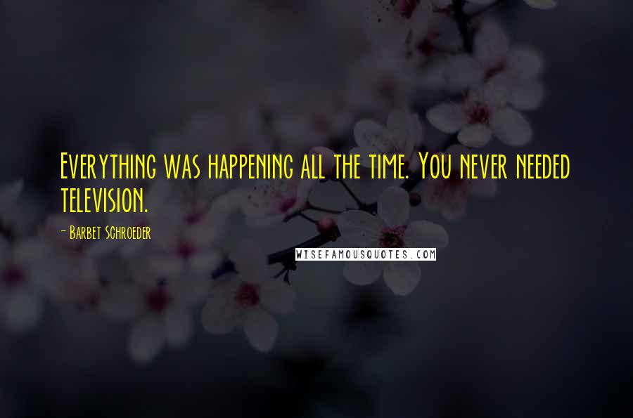 Barbet Schroeder Quotes: Everything was happening all the time. You never needed television.