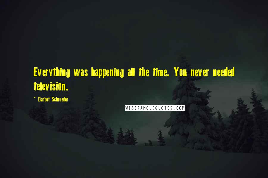 Barbet Schroeder Quotes: Everything was happening all the time. You never needed television.