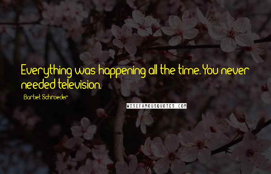 Barbet Schroeder Quotes: Everything was happening all the time. You never needed television.