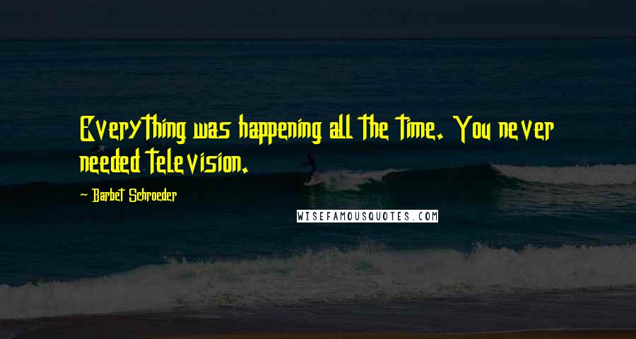 Barbet Schroeder Quotes: Everything was happening all the time. You never needed television.