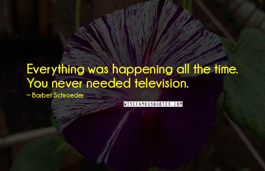 Barbet Schroeder Quotes: Everything was happening all the time. You never needed television.