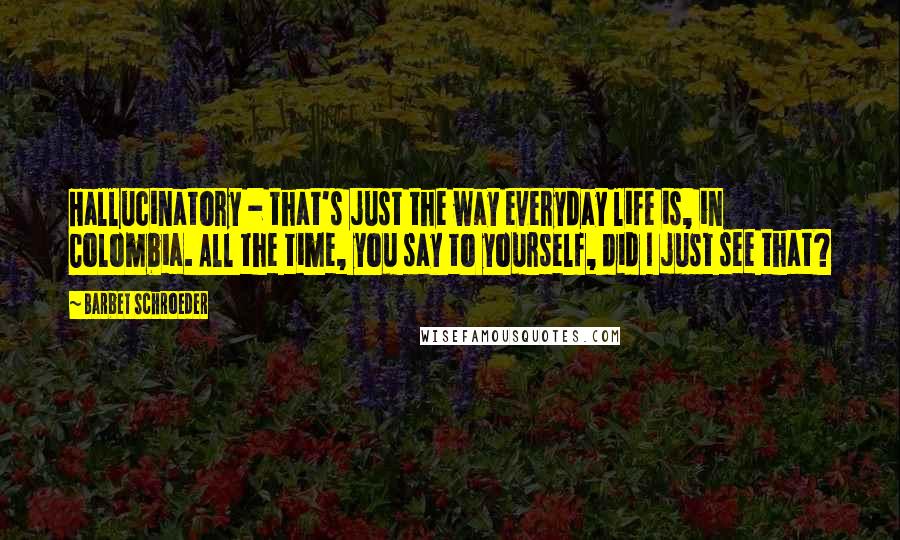 Barbet Schroeder Quotes: Hallucinatory - that's just the way everyday life is, in Colombia. All the time, you say to yourself, did I just see that?