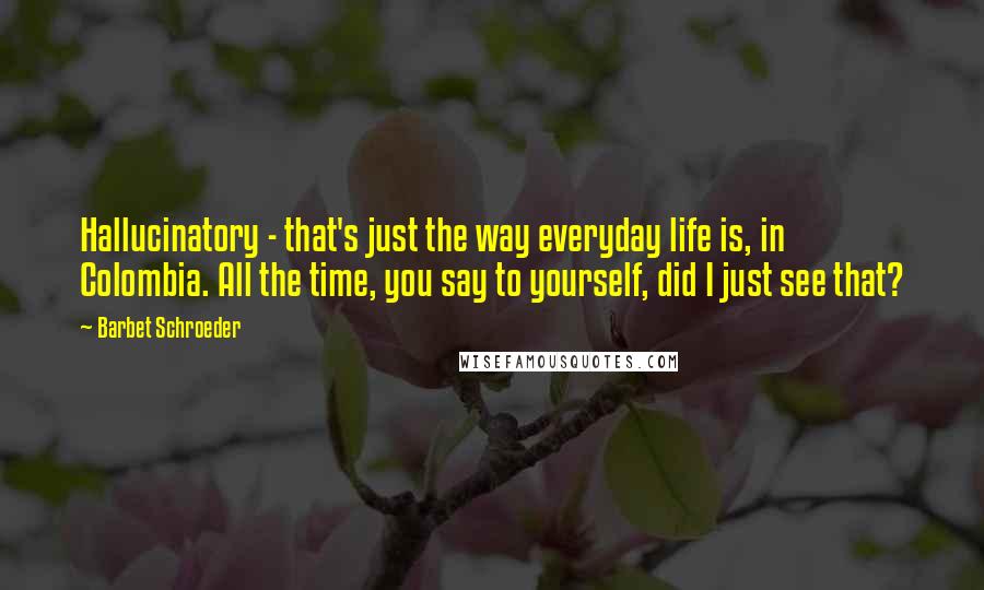 Barbet Schroeder Quotes: Hallucinatory - that's just the way everyday life is, in Colombia. All the time, you say to yourself, did I just see that?