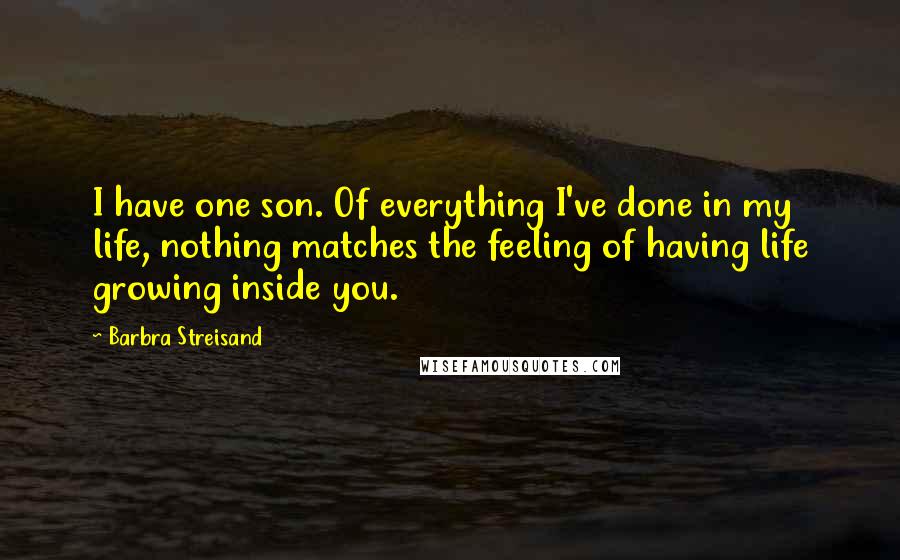 Barbra Streisand Quotes: I have one son. Of everything I've done in my life, nothing matches the feeling of having life growing inside you.