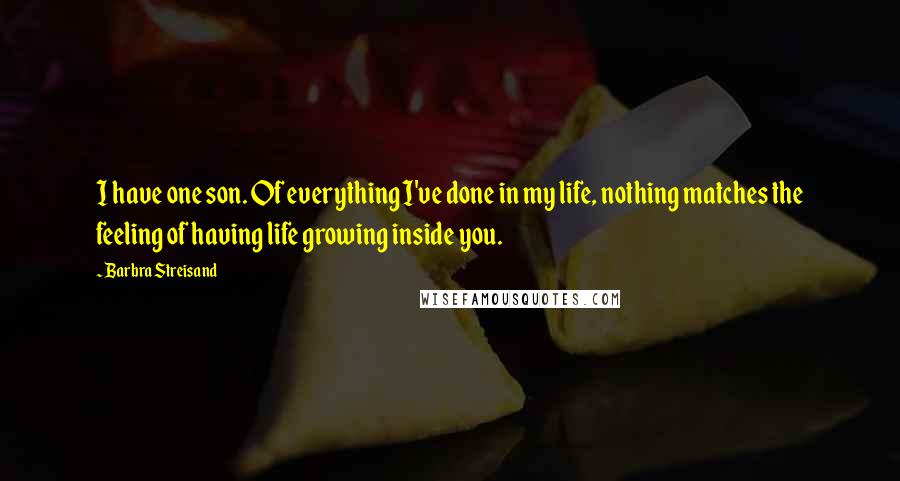 Barbra Streisand Quotes: I have one son. Of everything I've done in my life, nothing matches the feeling of having life growing inside you.