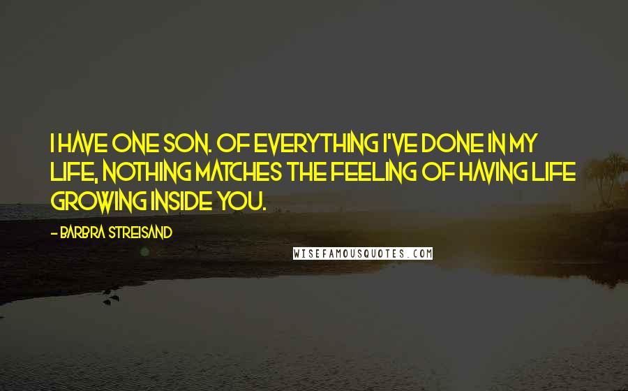 Barbra Streisand Quotes: I have one son. Of everything I've done in my life, nothing matches the feeling of having life growing inside you.