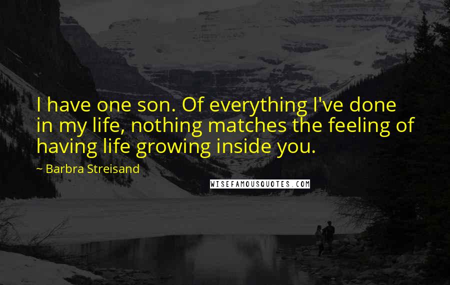 Barbra Streisand Quotes: I have one son. Of everything I've done in my life, nothing matches the feeling of having life growing inside you.