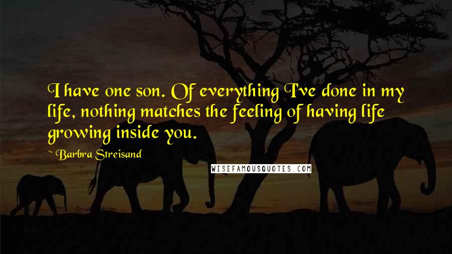 Barbra Streisand Quotes: I have one son. Of everything I've done in my life, nothing matches the feeling of having life growing inside you.