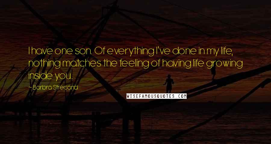 Barbra Streisand Quotes: I have one son. Of everything I've done in my life, nothing matches the feeling of having life growing inside you.