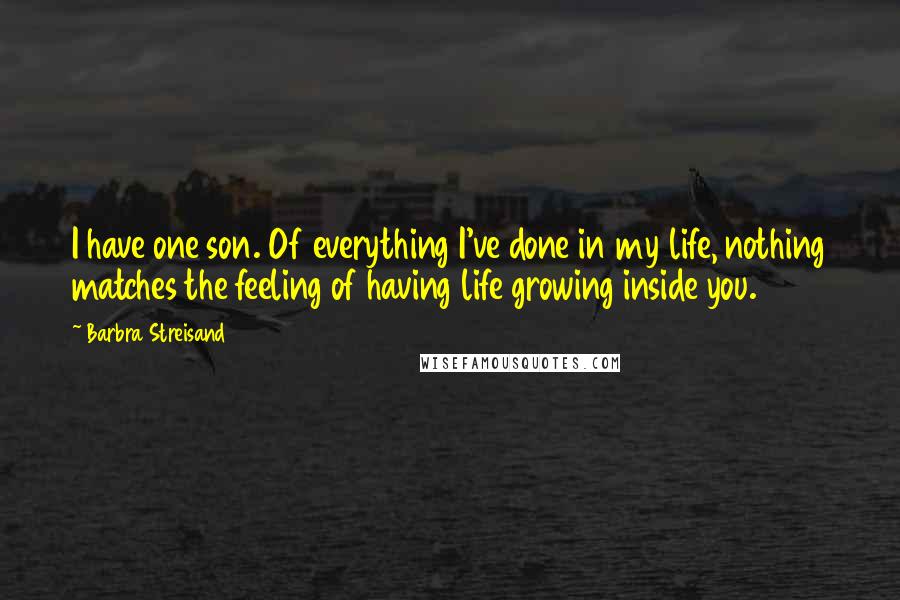 Barbra Streisand Quotes: I have one son. Of everything I've done in my life, nothing matches the feeling of having life growing inside you.