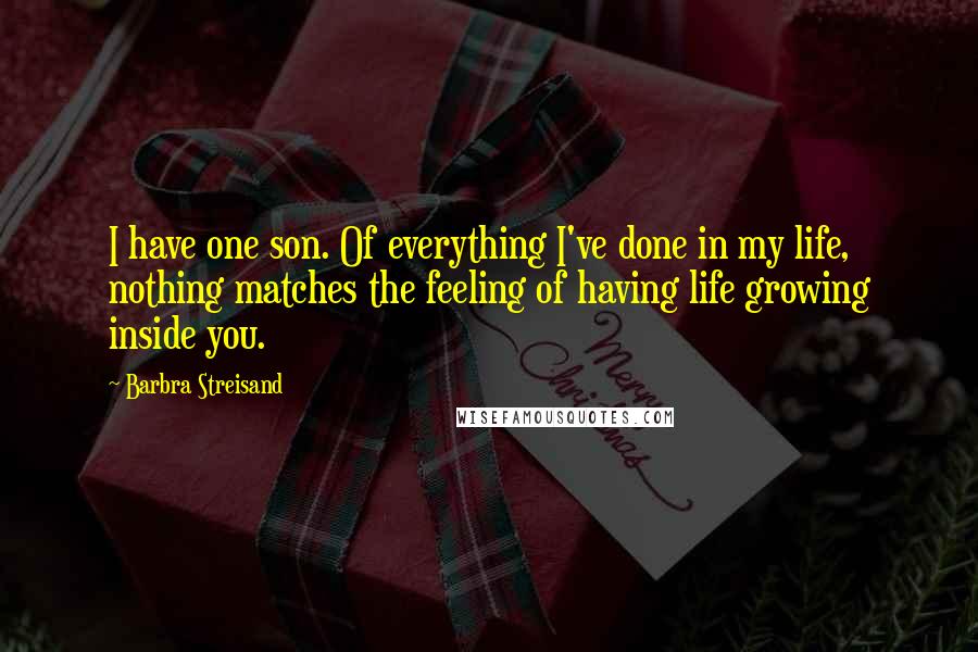 Barbra Streisand Quotes: I have one son. Of everything I've done in my life, nothing matches the feeling of having life growing inside you.