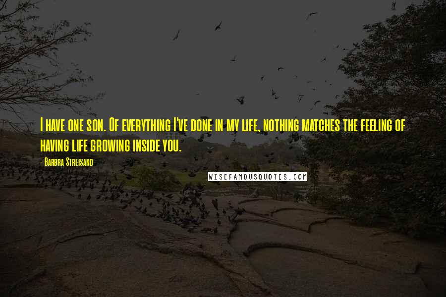 Barbra Streisand Quotes: I have one son. Of everything I've done in my life, nothing matches the feeling of having life growing inside you.