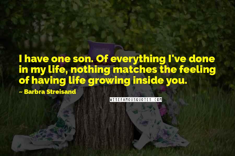 Barbra Streisand Quotes: I have one son. Of everything I've done in my life, nothing matches the feeling of having life growing inside you.