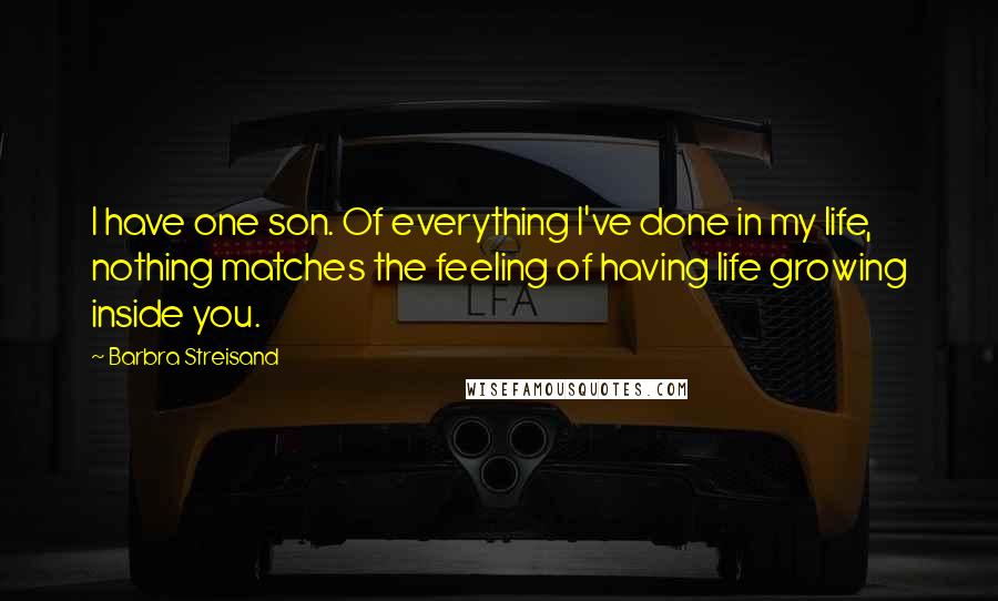 Barbra Streisand Quotes: I have one son. Of everything I've done in my life, nothing matches the feeling of having life growing inside you.