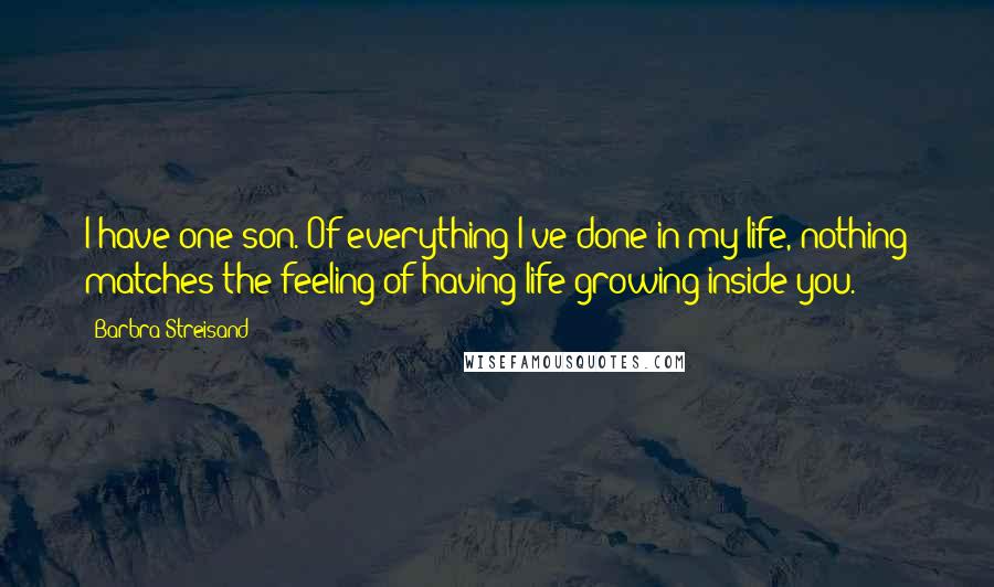 Barbra Streisand Quotes: I have one son. Of everything I've done in my life, nothing matches the feeling of having life growing inside you.