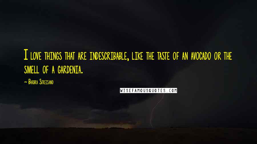 Barbra Streisand Quotes: I love things that are indescribable, like the taste of an avocado or the smell of a gardenia.