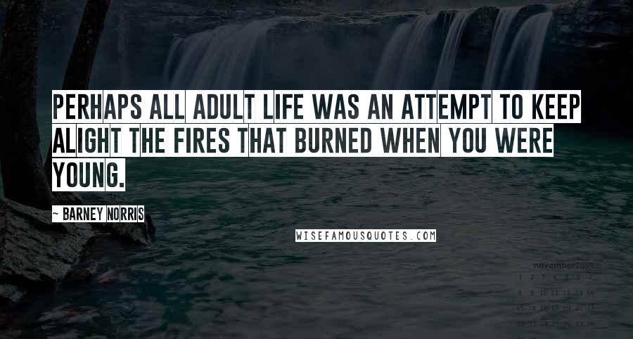 Barney Norris Quotes: Perhaps all adult life was an attempt to keep alight the fires that burned when you were young.