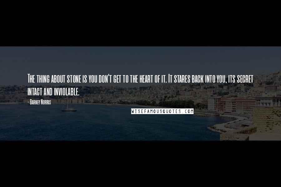 Barney Norris Quotes: The thing about stone is you don't get to the heart of it. It stares back into you, its secret intact and inviolable.